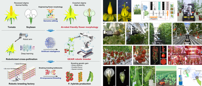 世界首台，我国自动巡航杂交授粉智能育种机器人“吉儿”问世(图1)